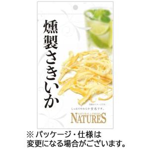 山栄食品工業 ネイチャーズ 燻製さきいか 20g 1セット