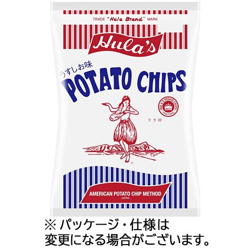 ソシオ工房　フラ印　アメリカンポテトチップス　うすしお味　１６０ｇ　１セット（１２パック）　（お取り...