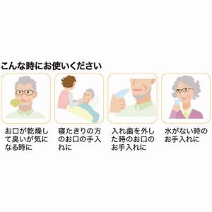 ピジョン ハビナース 歯みがきティシュ 1セッ...の詳細画像4
