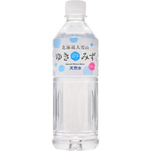 ロジネットジャパン 北海道大雪山ゆきのみず 550ml ペットボトル 1セット