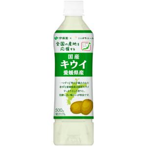 伊藤園 キウイ 愛媛県産 ニッポンエール 500g ペットボトル 1ケース