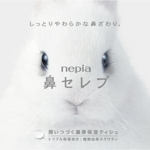 王子ネピア ネピア 鼻セレブティシュボックス ...の詳細画像4