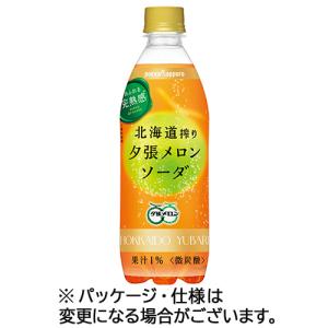 ポッカサッポロ　北海道搾り　夕張メロンソーダ　５００ｍＬ　ペットボトル　１ケース（２４本）　（お取寄せ品）