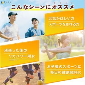 ファイン クエン酸スティック 3g/本 1セッ...の詳細画像2