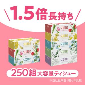 日本製紙クレシア スコッティ ティシュー フラ...の詳細画像1