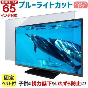 テレビカバー 防塵カバー 保護カバー 65インチ 65型 対応 液晶テレビ