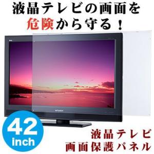 薄型液晶テレビ保護パネル42型（42インチ）(42PLG2)【送料無料】【液晶テレビ 画面 保護】