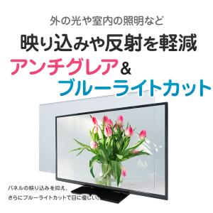 アンチグレア ブルーライトカット 液晶テレビ保...の詳細画像1
