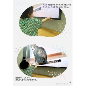 アンチグレア ブルーライトカット 液晶テレビ保...の詳細画像4