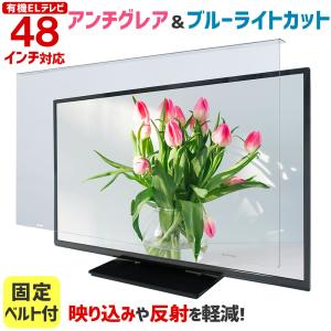 液晶テレビ保護パネル クリアパネルベルト付 55型 55インチ 液晶