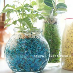 観葉植物 【パキラ シェフレラ サンスベリア ...の詳細画像2