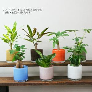【器】 ミスティラウンド 観葉植物 ハイドロカ...の詳細画像1