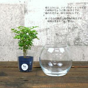 【器】 ガラス バブルボールSS(100) ハ...の詳細画像1