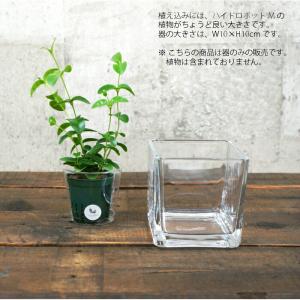 【器】 ガラス ブロックLL(100) ハイド...の詳細画像1