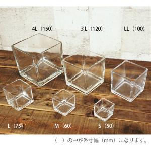 【器】 ガラス ブロックLL(100) ハイド...の詳細画像2