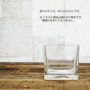 【器】 ガラス ブロック3L(120) ハイド...の詳細画像1