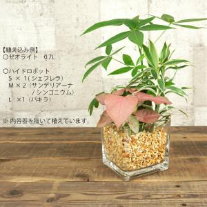 【器】 ガラス ブロック3L(120) ハイド...の詳細画像2