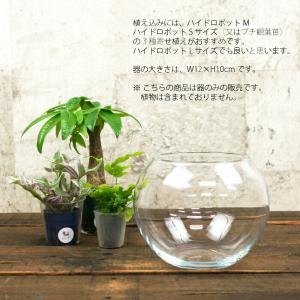 【器】 ガラス フローラボールS(120) ハ...の詳細画像1