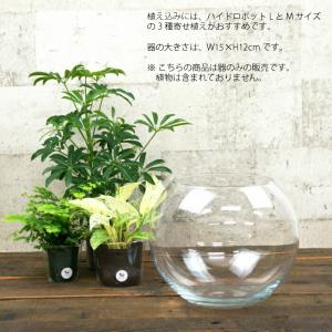【器】 ガラス フローラボールM(150) ハ...の詳細画像1