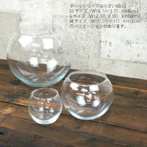 【器】 ガラス フローラボールM(150) ハ...の詳細画像2