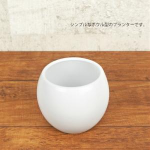 【器】 ピュアボウルLL 観葉植物 ハイドロカ...の詳細画像1