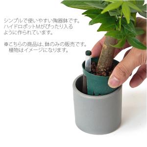 【器】 モノトーン60 観葉植物 ハイドロカル...の詳細画像1