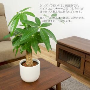 【器】 モノトーン130 観葉植物 ハイドロカ...の詳細画像1