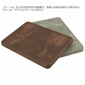 壁掛け 植物 エアプランツ ストーンウッドプレートの詳細画像4