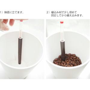 水位計M 観葉植物 ハイドロカルチャー用の詳細画像1