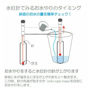 水位計M 観葉植物 ハイドロカルチャー用の詳細画像2