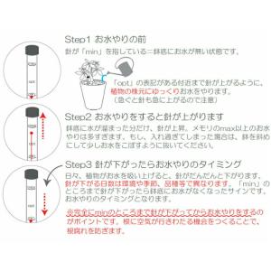 水位計S 観葉植物 ハイドロカルチャー用の詳細画像2