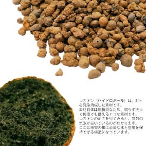 Planterior レカトン 中粒 500m...の詳細画像2
