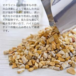 Planterior ゼオライト アルミ袋 5...の詳細画像2