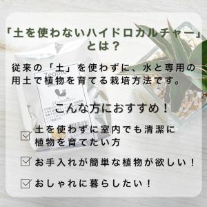 Planterior ゼオライト アルミ袋 5...の詳細画像3