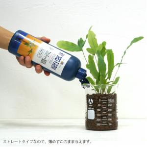 ハイドロファーム 観葉植物 ハイドロカルチャー...の詳細画像1