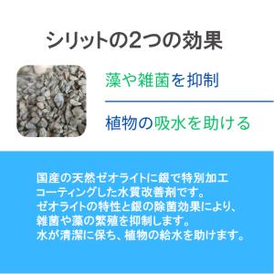 水質改善剤 silite (シリット) 100ml用の詳細画像1