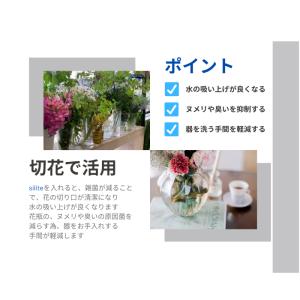 水質改善剤 silite (シリット) 100ml用の詳細画像2