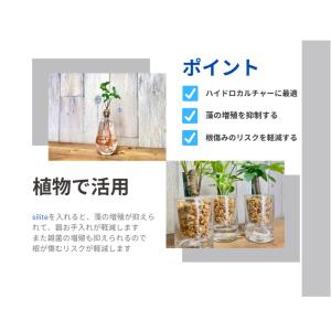 水質改善剤 silite (シリット) 100ml用の詳細画像3