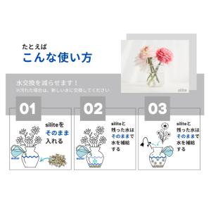 水質改善剤 silite (シリット) 100ml用の詳細画像4