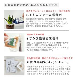 ハイドロカルチャー 用 育成ポット 資材 内容...の詳細画像3