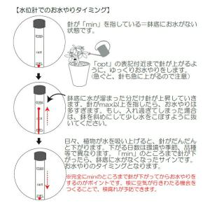 水位計SS 観葉植物 ハイドロカルチャー用の詳細画像2