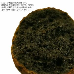 レカトン 小粒 2L 簡易包装 観葉植物 ハイ...の詳細画像2