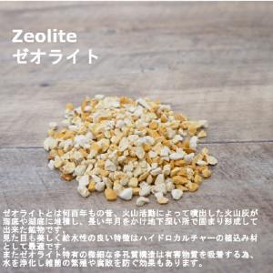 ゼオライト 10L 簡易包装 観葉植物 ハイド...の詳細画像4