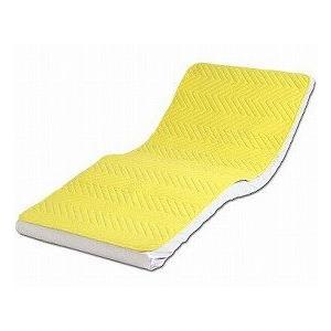 ドライプラス MDRP-ST 介護用品
