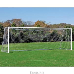 一般アルミサッカーゴール120 B-2476 2...の商品画像