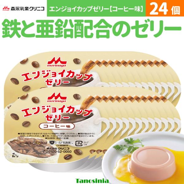 介護食 ゼリー デザート 栄養補助食品 栄養補給 鉄 亜鉛 高エネルギー エンジョイカップゼリー  ...