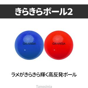 グラウンドゴルフ用品 用具 道具 グラウンドゴ...の詳細画像4