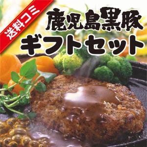 鹿児島産 黒豚 ギフトセット (お歳暮 ゆず ハンバーグ 餃子 ギフト プレゼント ご自宅用にもどうぞ)