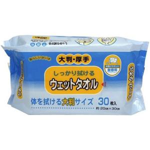 ウェットタオル大判厚手 KN-102 30枚入 介護用品 20×30cm 無香料 ノンアルコール 保水性 やわらかい 日本製 おすすめ｜tanosinia