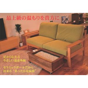 足癒(あしゆ) 遠赤外線 セラミック薬石の足湯 タイプ 2人...